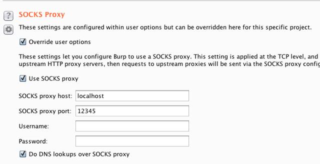 burp-proxy-settings.png